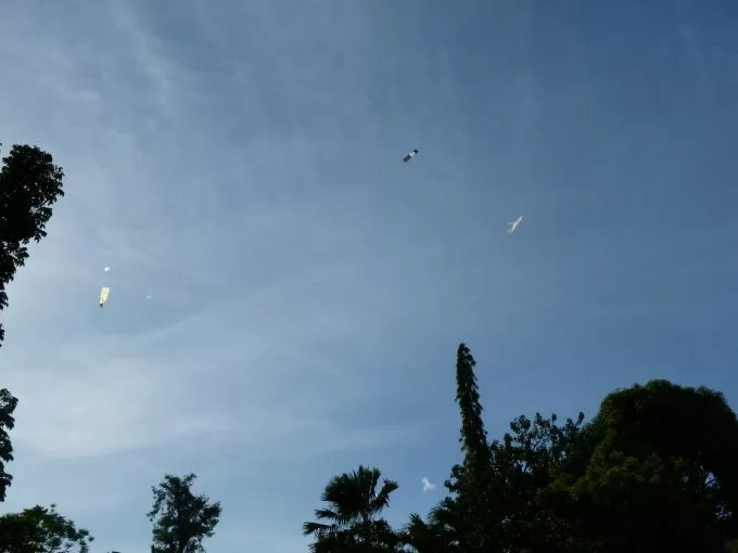 P1070151